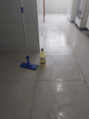 Serviço realizado em uma Limpeza Residencial - Foco nos Pisos(Porcelanato)