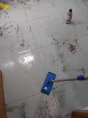 Serviço realizado em uma Limpeza Residencial - Foco nos Pisos(Porcelanato)